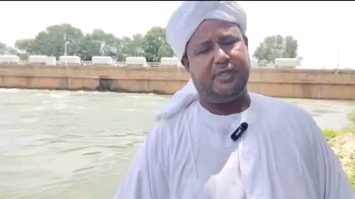 غلاف المقال