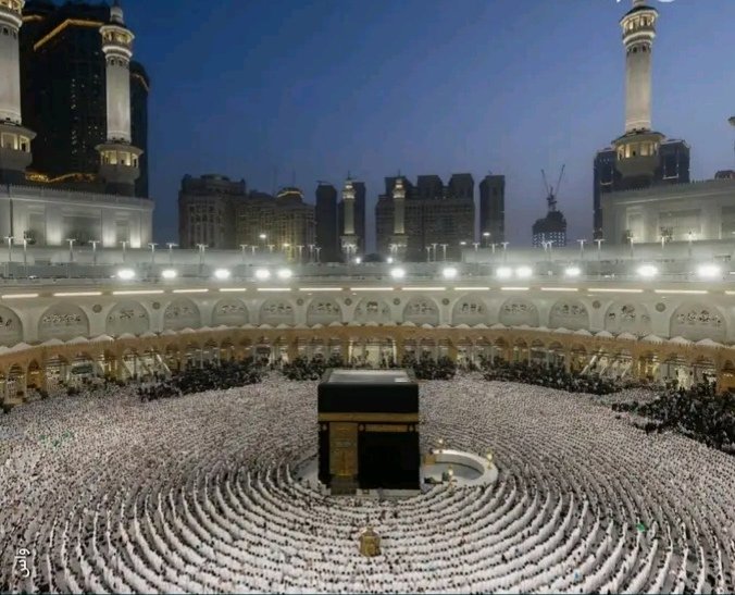 غلاف المقال