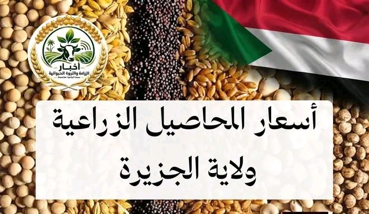 غلاف المقال