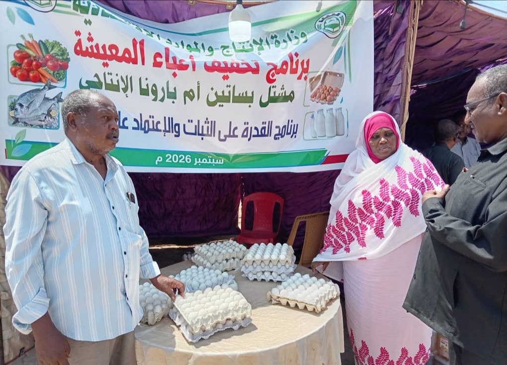 غلاف المقال