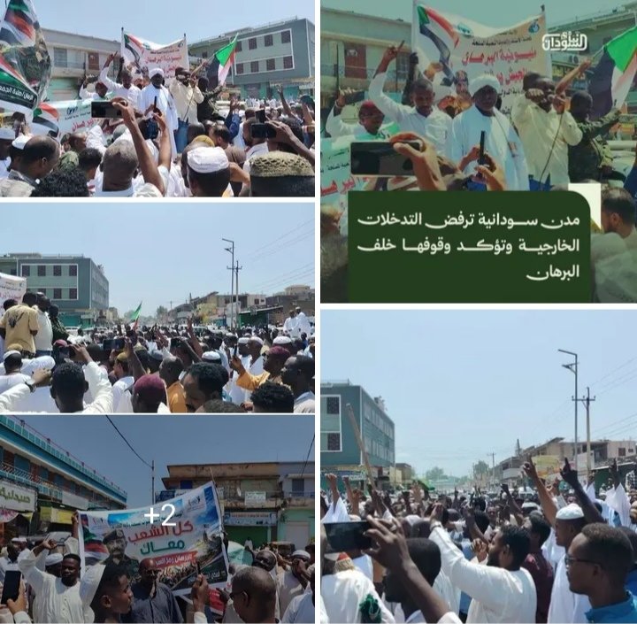 غلاف المقال