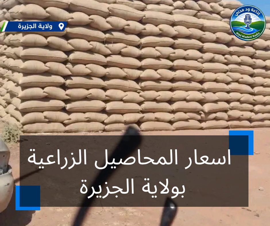 غلاف المقال
