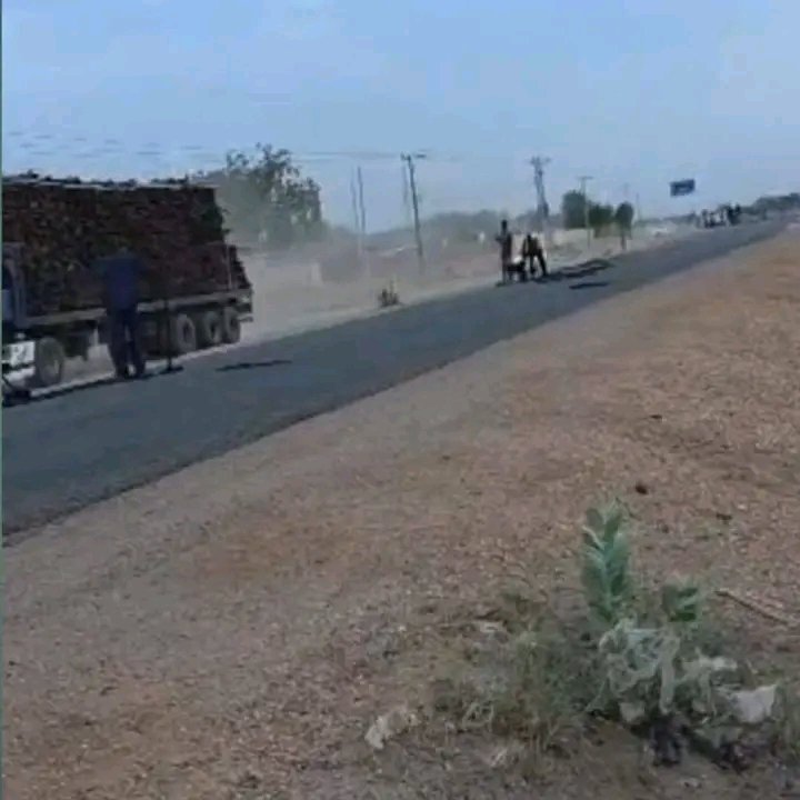 غلاف المقال