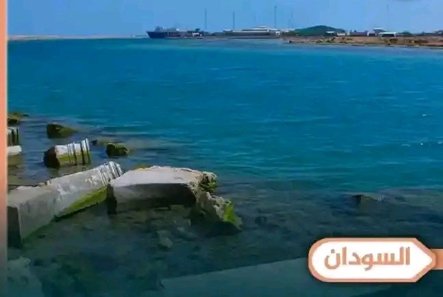 غلاف المقال