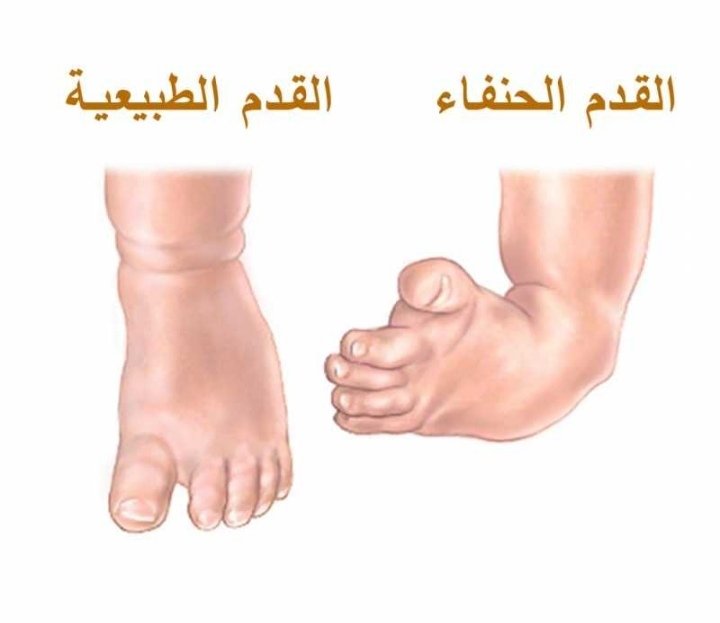 غلاف المقال