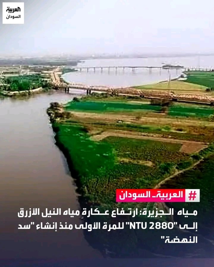 غلاف المقال