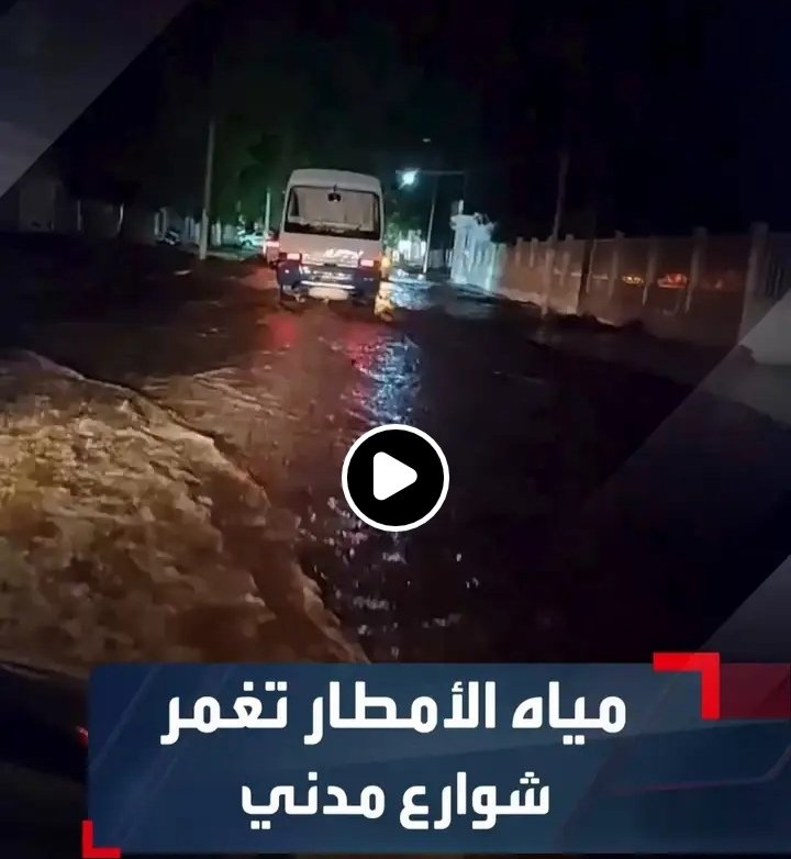 غلاف المقال