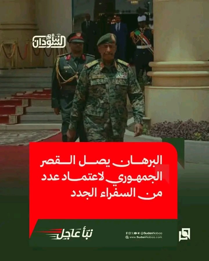 غلاف المقال