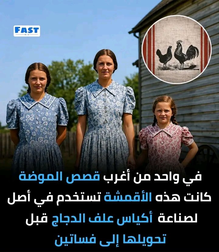 غلاف المقال