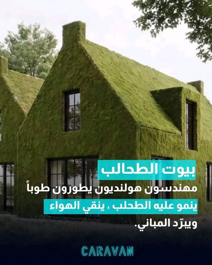 غلاف المقال