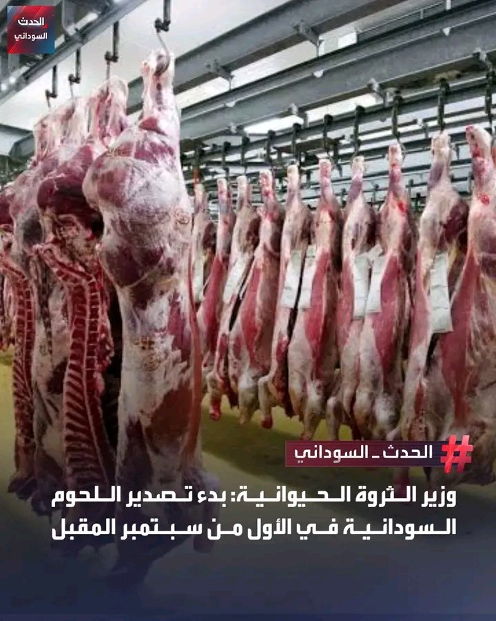 غلاف المقال