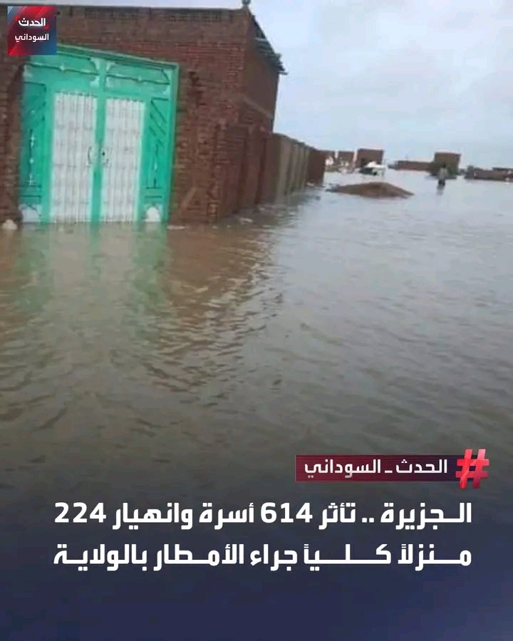 غلاف المقال