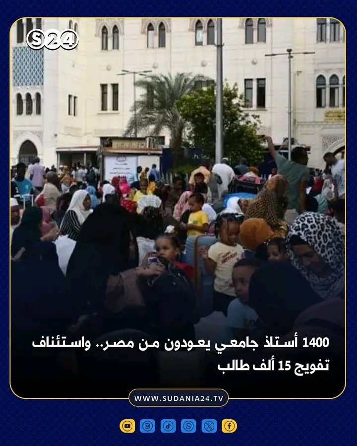 غلاف المقال
