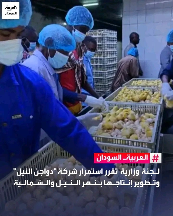 غلاف المقال