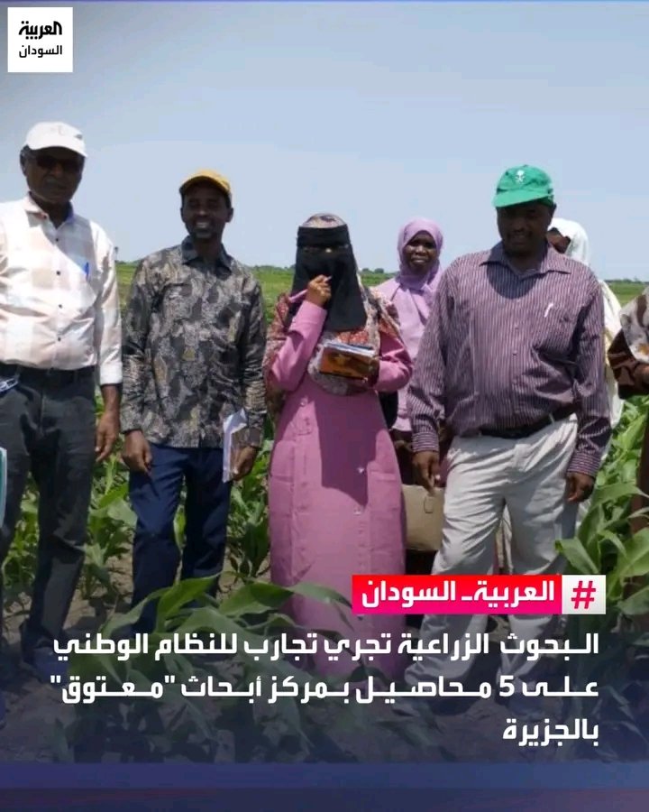 غلاف المقال
