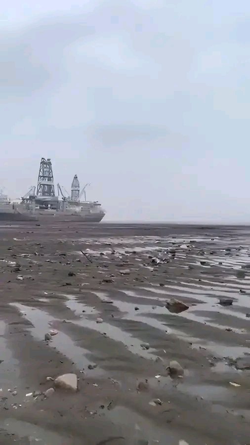 غلاف المقال