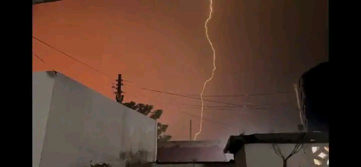 غلاف المقال