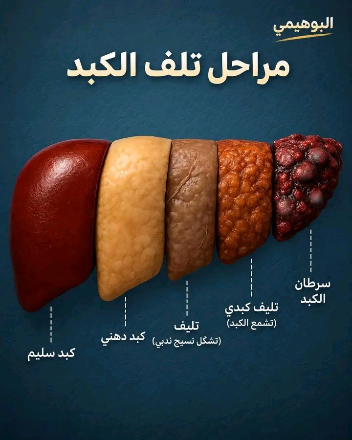 غلاف المقال