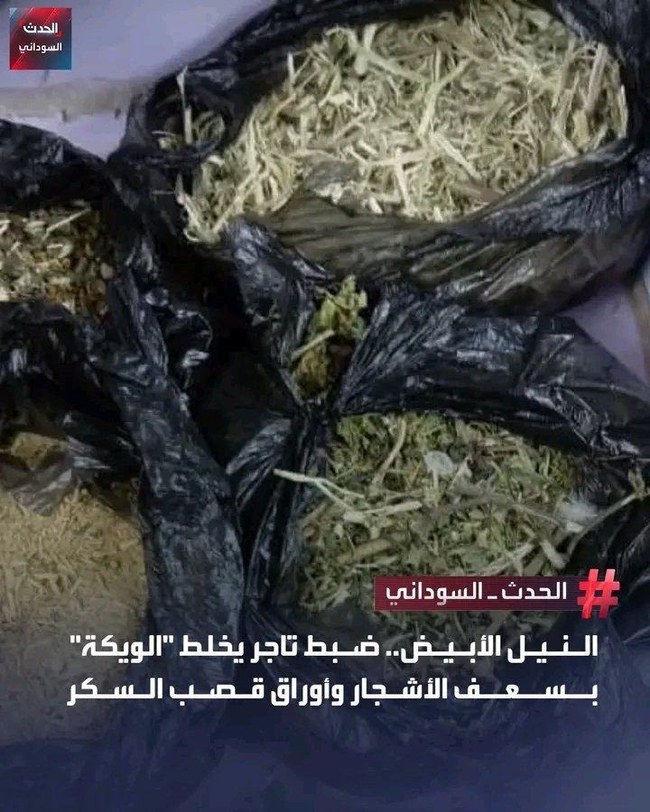 غلاف المقال