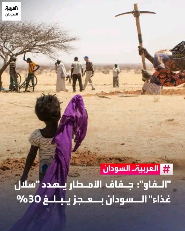 غلاف المقال