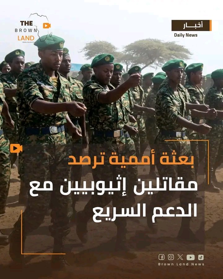 غلاف المقال