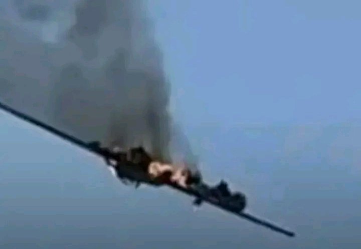 غلاف المقال